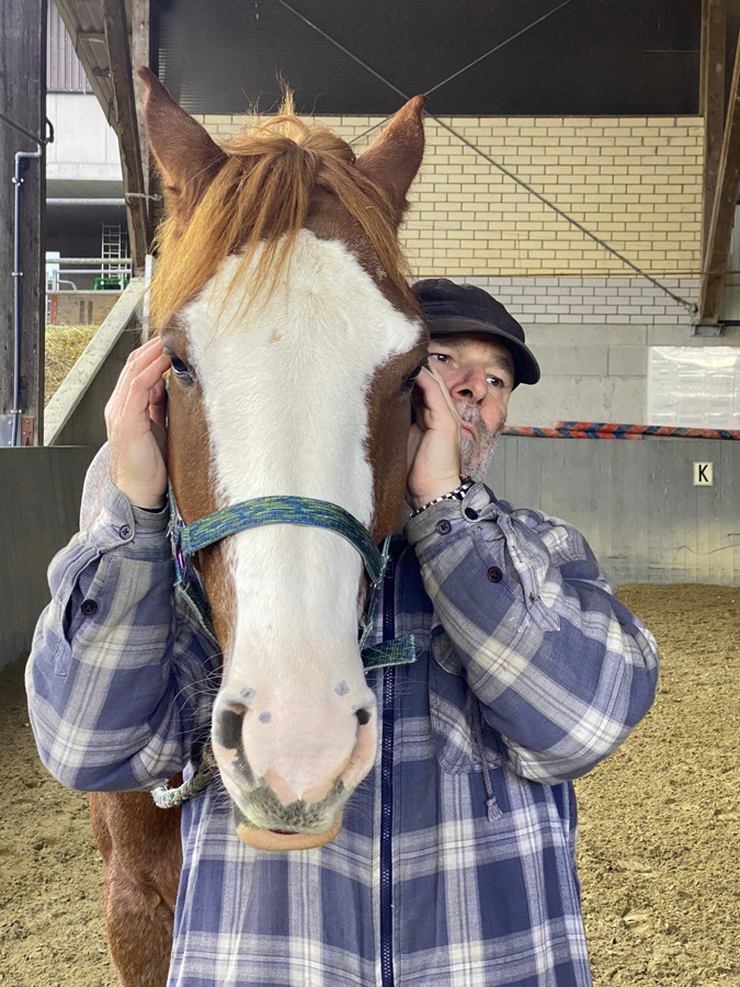 Pferd Ohio10 Pferde Osteopathie Praxis Isvogel Pattrick Rippstein